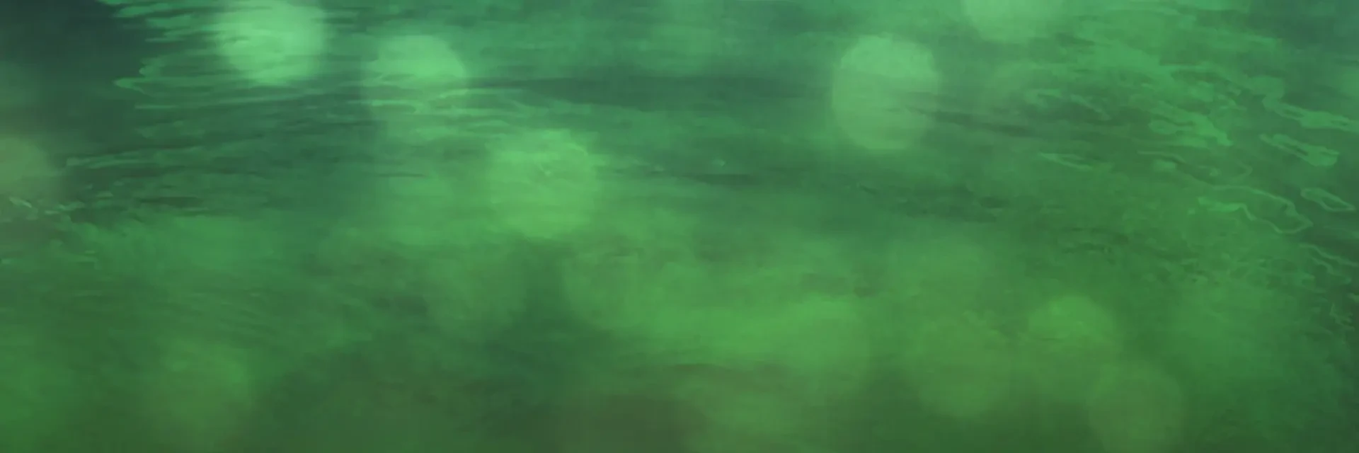 Hyddryd's banner